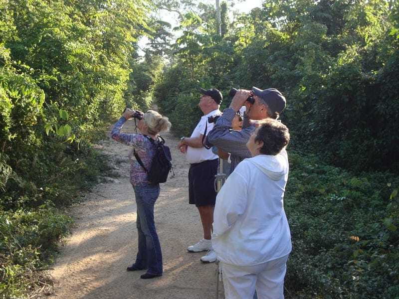 Riviera Maya: Puerto Morelos 4-Hour Bird Watching Tour - Is $690 good value for two people?