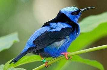 Riviera Maya: Puerto Morelos 4-Hour Bird Watching Tour - The early hotel pickup sets the tone