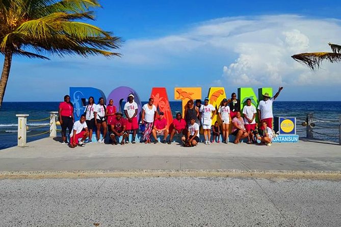 Roatan Private Sloths, Monkeys, Birds Encounters, City Tour and Transfer - What This Roatan Tour Actually Gives You