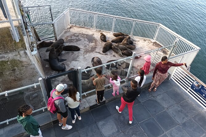 Robben Island Cape Of Good Hope Penguins Including Ferry Ticket - Cape of Good Hope: plants, animals, and a famous name
