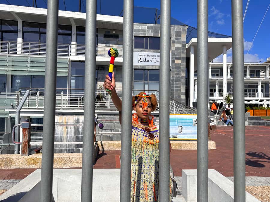 Robben Island Tickets, Penguins, and Private Cape Point Tour - Guides make the long day better