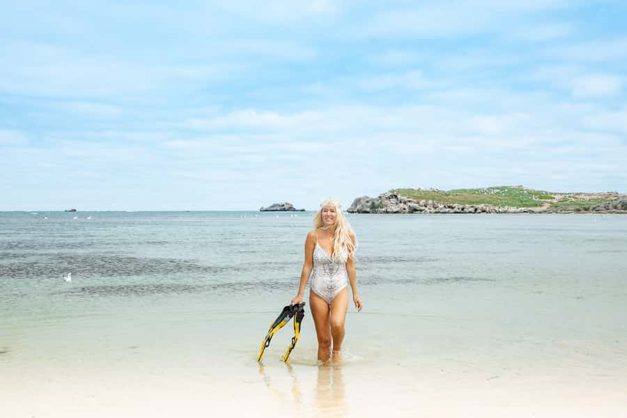 Rockingham: Shoalwater Islands, Dolphins, and Sea Lions Tour - Seal Island and the Australian sea lions
