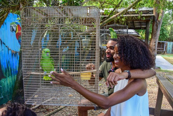 Rockland Bird Sanctuary plus Montego Bay Highlights & Shopping Private Tour - Key points at a glance