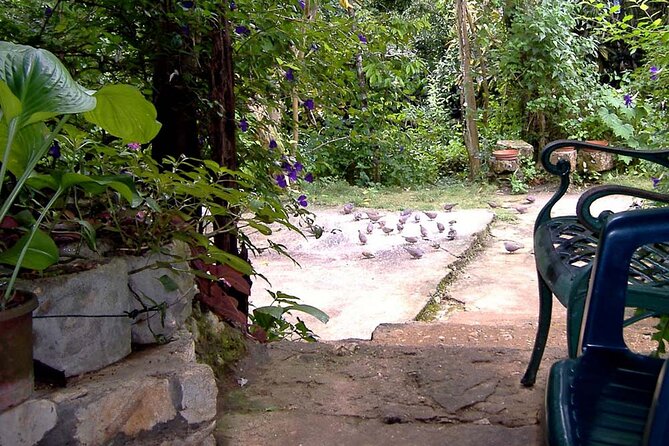 Rockland Bird Sanctuary plus Montego Bay Highlights & Shopping Private Tour - Fritz adds a personal touch to the sanctuary visit