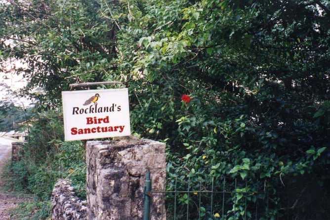 Rockland Bird Sanctuary Private Tour - A bird walk beyond the feeding station