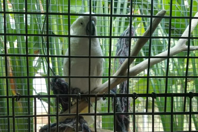Rockland Bird Sanctuary Private Tour - What the private transport adds