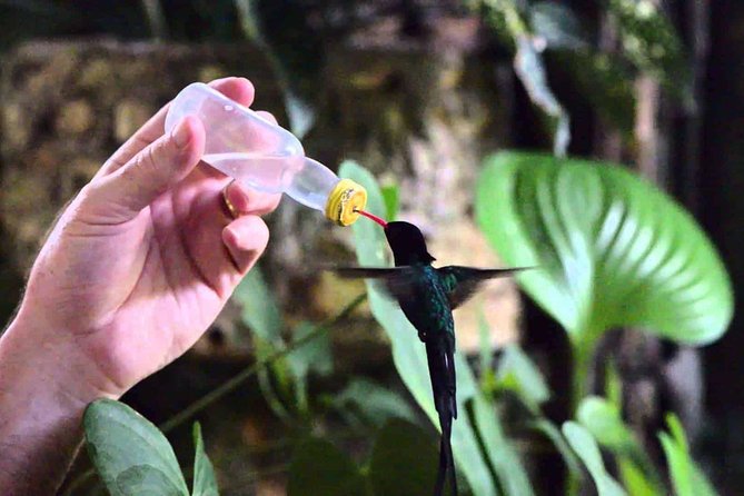 Rockland Bird Sanctuary Private Tour - Is $120 per person fair?