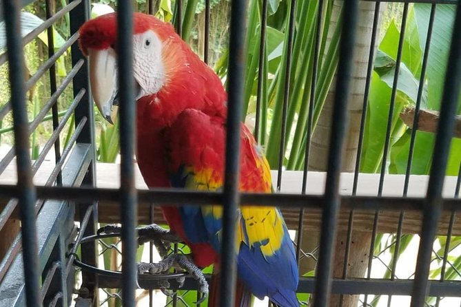 Rockland Bird Sanctuary Private Tour - Weather, timing, and what to bring