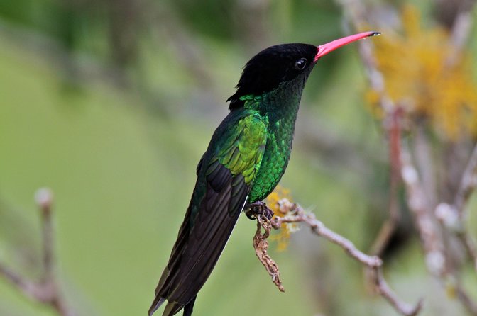 Rockland Bird Sanctuary Private Tour - Who will enjoy Rocklands most