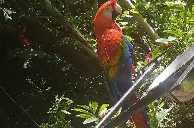 Rockland Bird Sanctuary Tour [Transportation] Hotel Pick-Up - How long you should allow