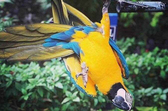 Rockland Bird Sanctuary Tour [Transportation] Hotel Pick-Up - Price, admission, and real value