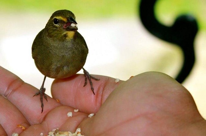 Rockland Bird Sanctuary Tour [Transportation] Hotel Pick-Up - Who will enjoy this most