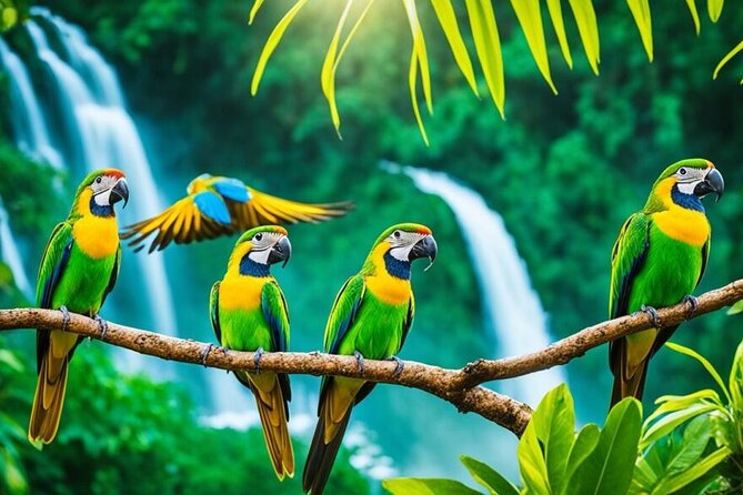 Rockland's Bird Sanctuary Tour from Montego Bay/ Falmouth - Who will enjoy this sanctuary visit?