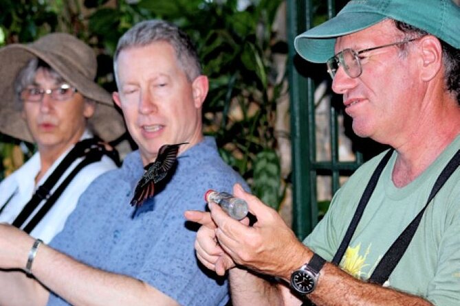 Rocklands Bird Sanctuary and Montego Bay Highlights Tour from Falmouth - Key points to know before booking