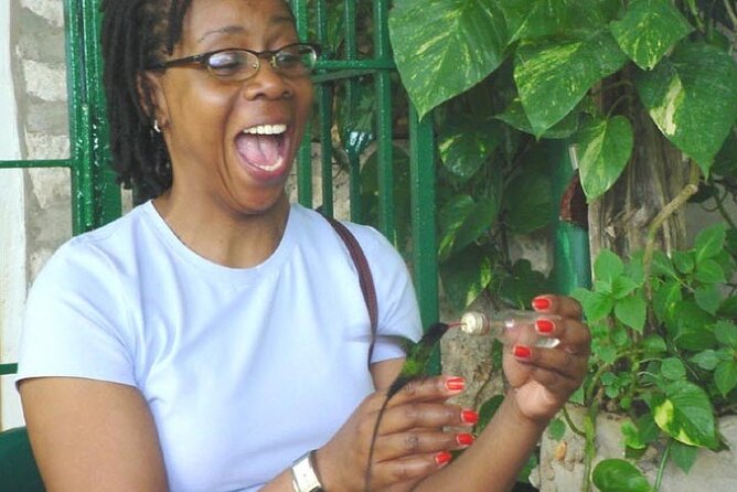 Rocklands Bird Sanctuary and Montego Bay Highlights Tour from Falmouth - Shopping along the Montego Bay Hip Strip