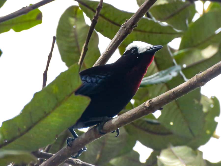 Salento: hike to learn about Birds - Key points to know before you go