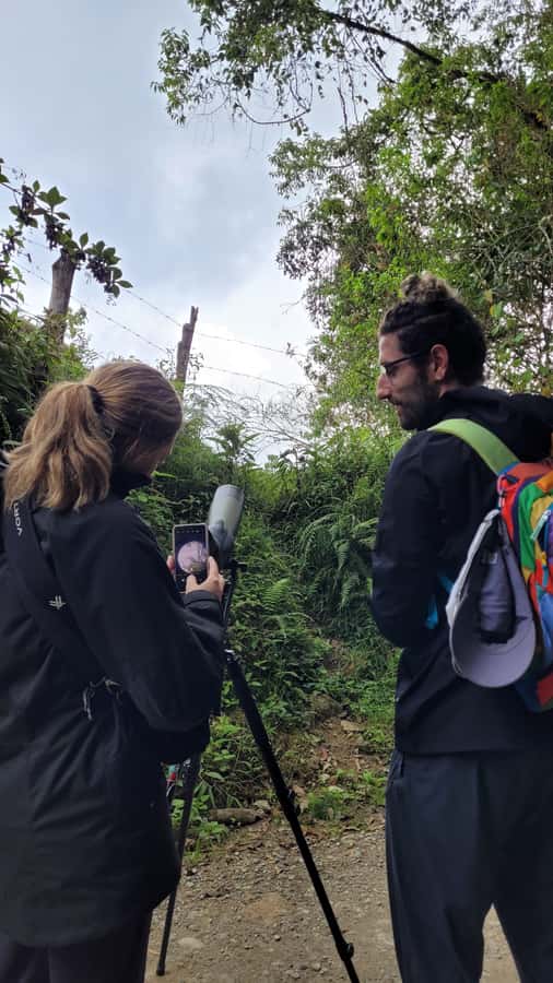Salento: hike to learn about Birds - Why this Salento birding walk is worth your morning