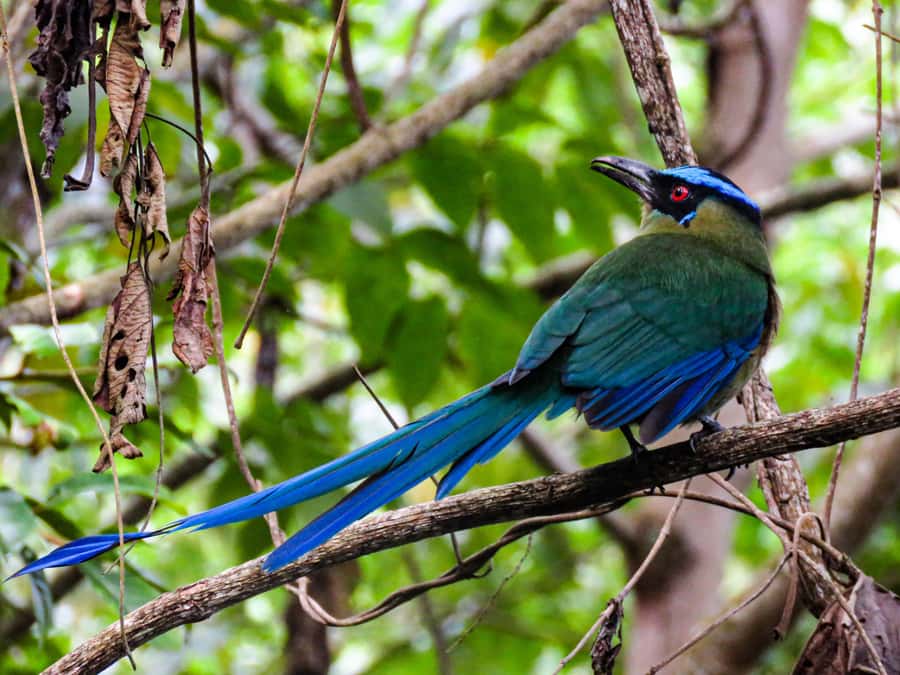 Salento: hike to learn about Birds - A 30-minute breakfast stop before the trail