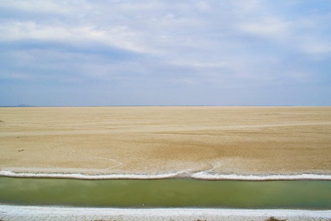 Sambhar Tour - temples, salt lake, bird watching, heritage walk - Sambhar Salt Lake and the Search for Flamingos
