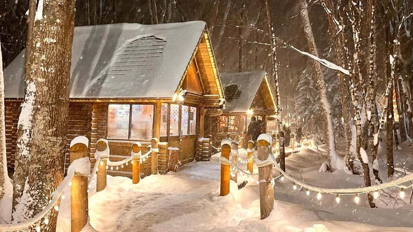 Sapporo Winter : Asahiyama Zoo (Penguin Fun & Snowmobile) - What the $58 price really covers