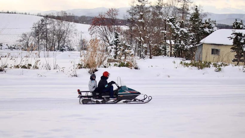 Sapporo Winter : Asahiyama Zoo (Penguin Fun & Snowmobile) - Winter conditions and practical preparation
