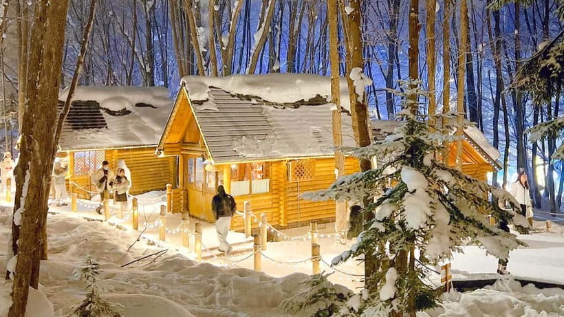 Sapporo Winter : Asahiyama Zoo (Penguin Fun & Snowmobile) - Who should book this Hokkaido day trip?