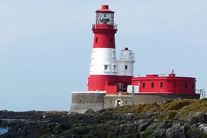 Seabird & Seal Farne Islands Cruise. 1.5 hours long. Departing from Seahouses. - Puffins and summer seabirds
