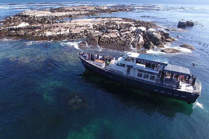 Seal Island,Cape of Good Hope&Penguins Shared Tour,From Cape Town - Ostriches and Cape Point’s open views