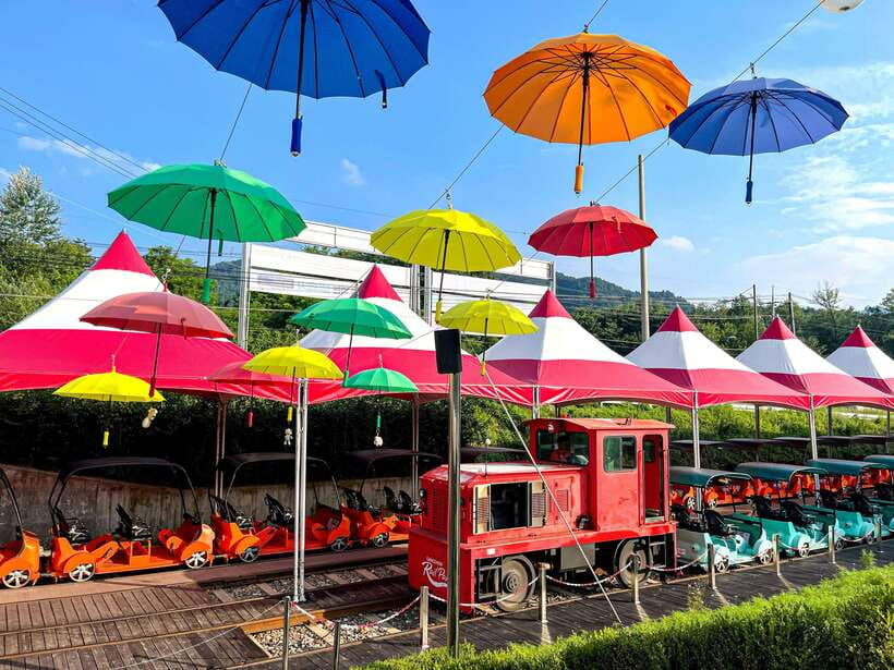 Seoul: Nami Island & Gangchon Rail Bike One Day Tour - Key points to know before booking