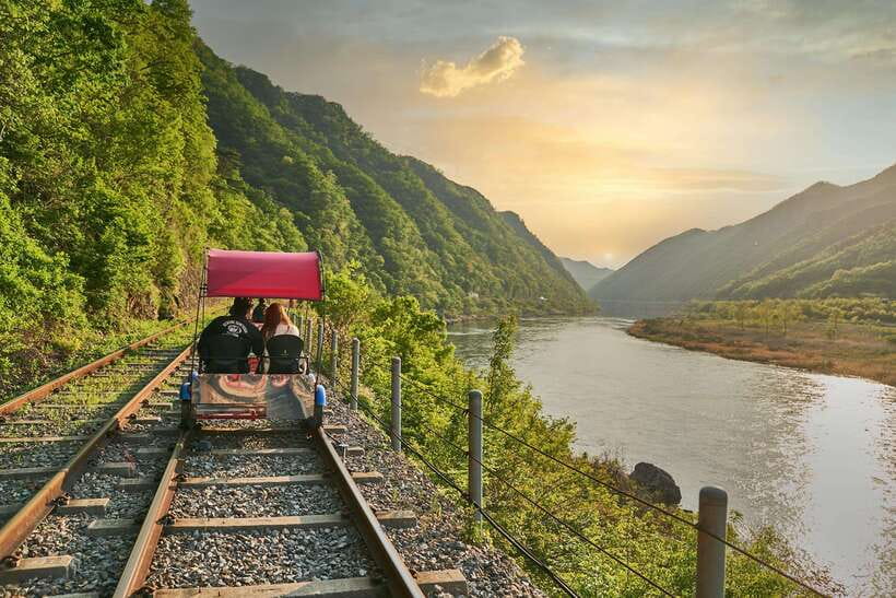 Seoul: Nami Island & Gangchon Rail Bike One Day Tour - Four hours among Nami Island’s famous trees