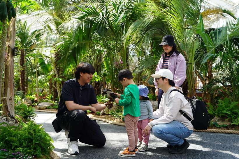 Seoul: Nami Island & Gangchon Rail Bike One Day Tour - The Gangchon Rail Bike turns an old railway into an outing