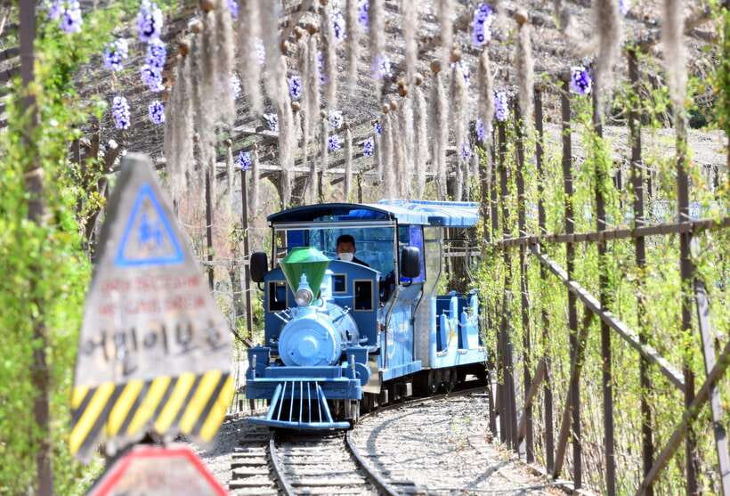 Seoul: Nami Island & Gangchon Rail Bike One Day Tour - Price, inclusions, and where the value lies