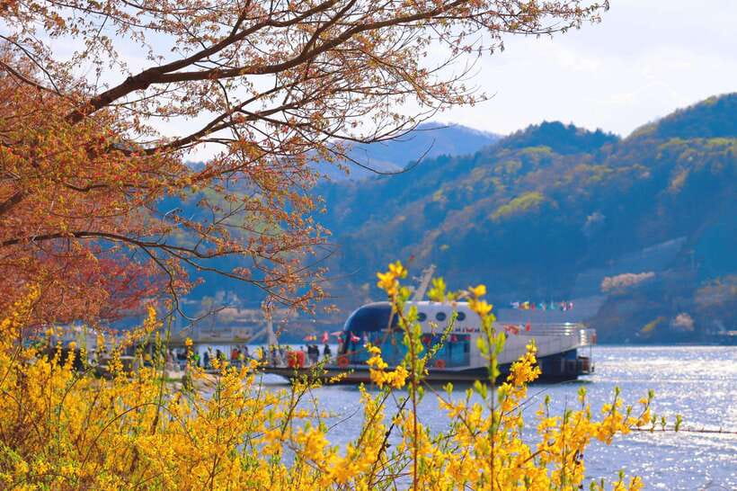 Seoul: Nami Island & Gangchon Rail Bike One Day Tour - Who will enjoy this tour most