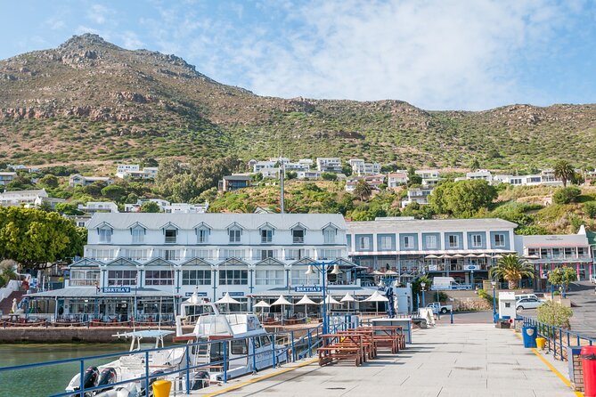 Shared Half Day Tour in Cape Peninsula with African Penguins - Cape of Good Hope brings the big coastal scenery