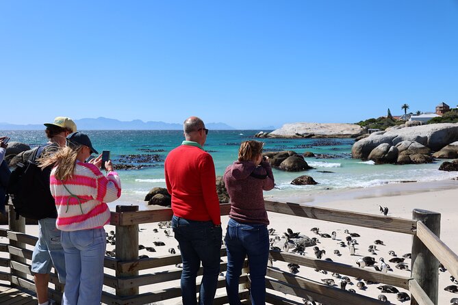 Shared Half Day Tour in Cape Peninsula with African Penguins - Muizenberg closes the coastal loop