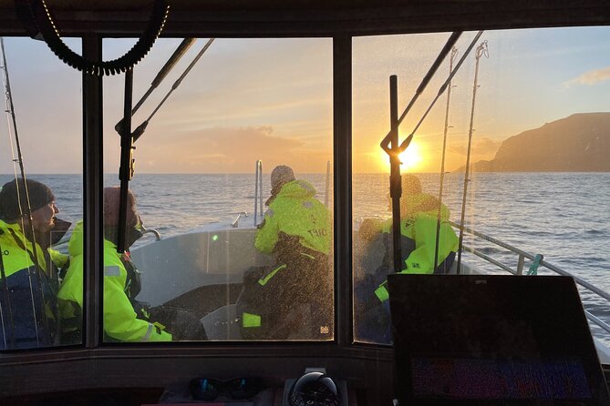 Sightseeing Around Nólsoy to see Puffins - Puffins, seals, and other seabirds