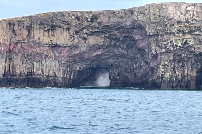 Sightseeing Around Nólsoy to see Puffins - Who should book this trip?