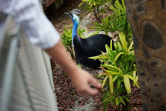 Singapore 3 Park Explorer Pass: Zoo, River Wonders, Bird Paradise - One Day or Several Days?
