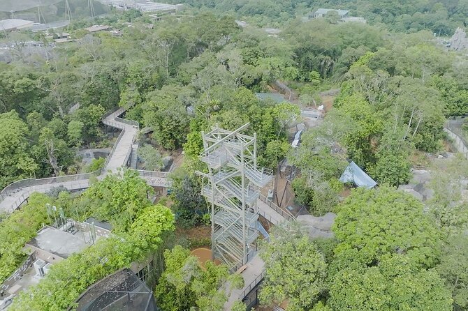 Singapore 3 Park Explorer Pass: Zoo, River Wonders, Bird Paradise - What You Can Photograph