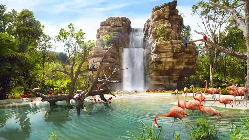 Singapore: Bird Paradise - Key things to know before you go