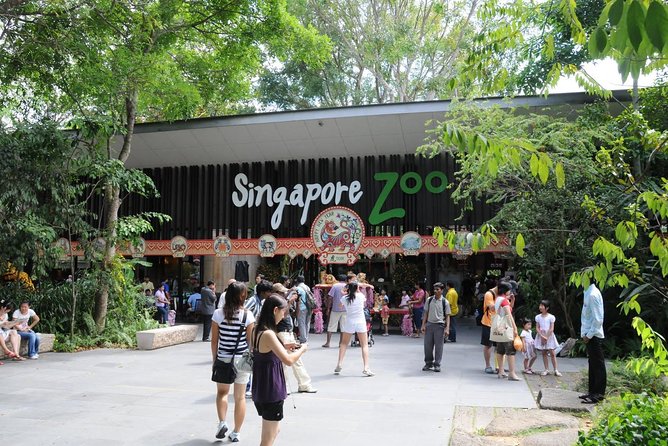 Singapore Bird Paradise & Zoo Full Day (Ticket & Transfer ) - What this full-day outing actually gives you
