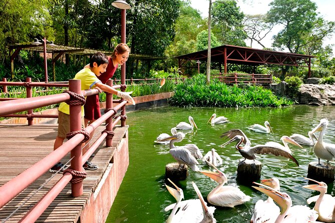Singapore Bird Paradise & Zoo Full Day (Ticket & Transfer ) - Why the private transfer can be worth the premium