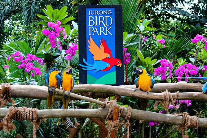 Singapore Bird Paradise & Zoo Full Day (Ticket & Transfer ) - Timing, heat, and the practical rhythm of the day