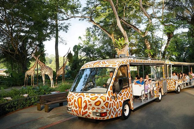 Singapore Bird Paradise & Zoo Full Day (Ticket & Transfer ) - What the positive feedback tells you