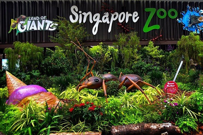 Singapore Bird Paradise & Zoo Full Day (Ticket & Transfer ) - Starting at Singapore Zoo with three hours to explore