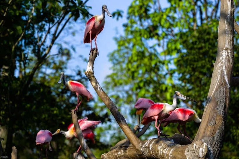 Singapore: Bird Paradise - Starting among crimson blooms and wetland plants