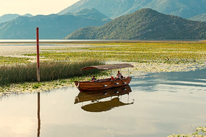 Skadar Lake National Park: Birdwatching & Photography Tour - What You Get for $43