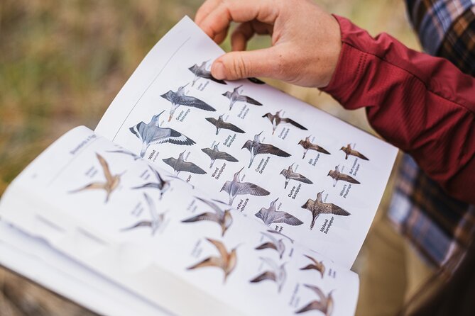 Skagit Valley Birding + Deception Pass Day Tour From Seattle - Key Points To Know Before You Book