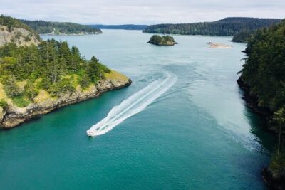 Skagit Valley Birding + Deception Pass Day Tour From Seattle