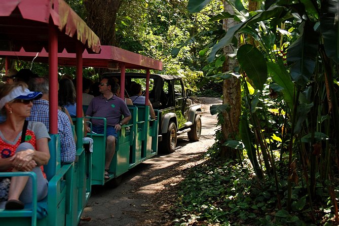 Skip the Line: Flamingo Gardens Admission Ticket in Fort Lauderdale - Catch a Wildlife Presentation